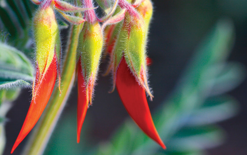 Photo by Benjamin Jakabek Photography