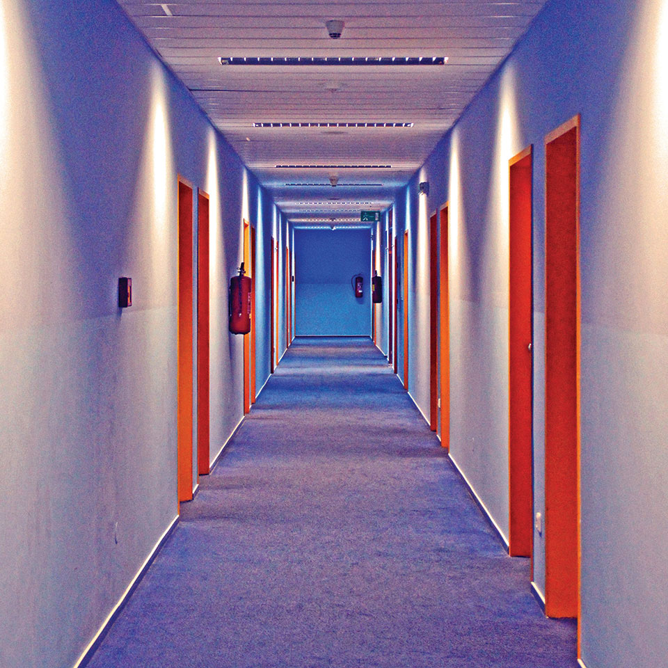 Photo by Renate Dodell