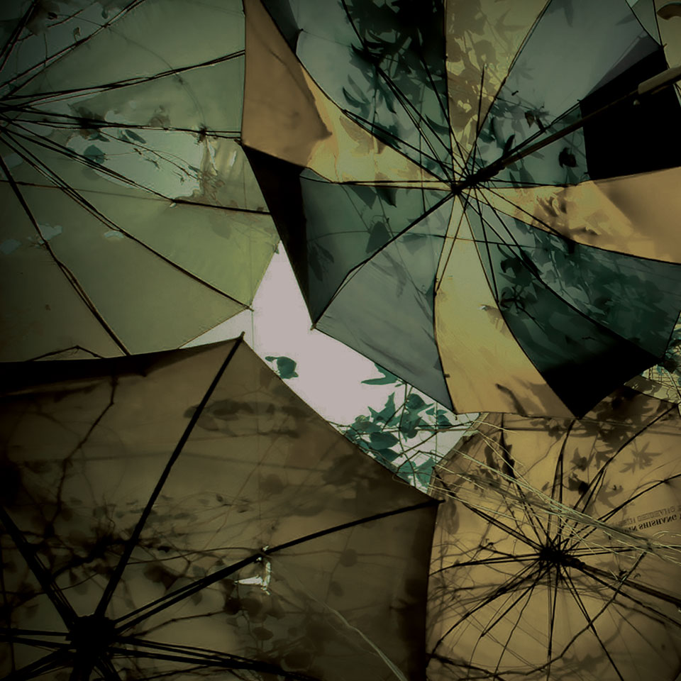 Umbrellas and leaves