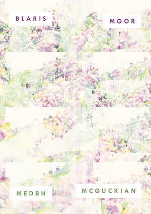 The cover to Blaris Moor by Medbh McGuckian