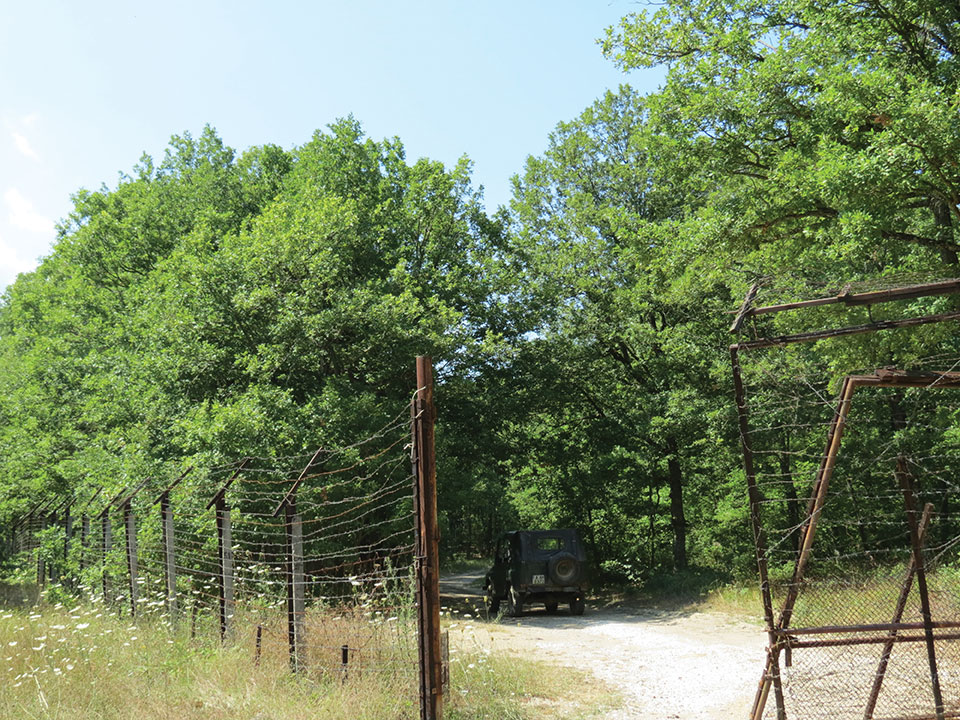 Trees obscure a now abandoned border fence in Bulgaria