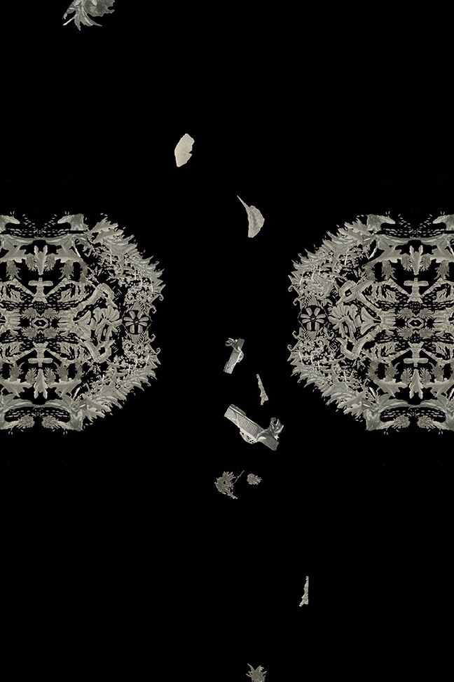 Two intricate geometric shapes on a field of black with organic matter falling between them