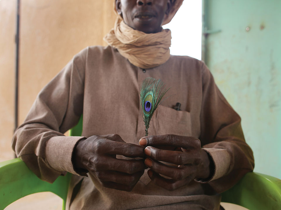 A person, whose face just above the panel, holds a peacock feather erect between his hands