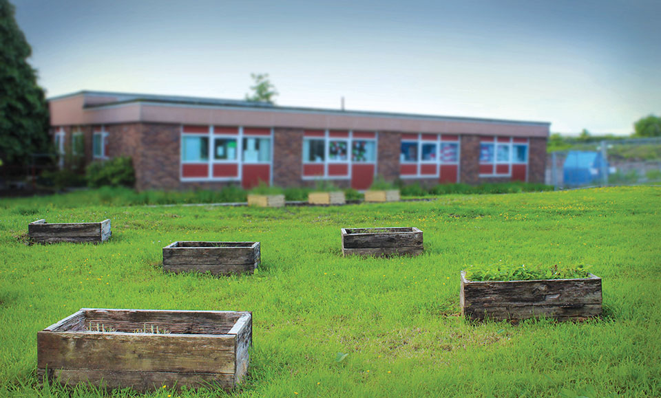 Small raised bed gardens dot the lawn of an empty schoolyard