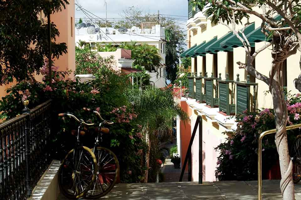 A photograph from a landing looking out over an urban but verdant landscape