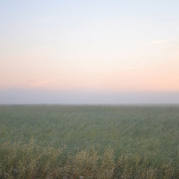 A verdant landscape stretches toward the horizon