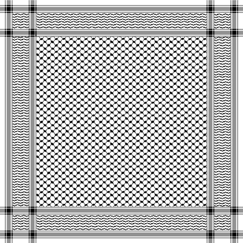 A geometric pattern of intricate interwoven lines