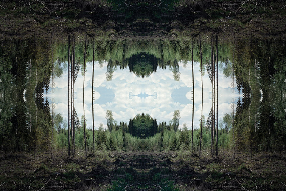 A digitally altered photograph showing a forest clearing with the image reversed atop the original image