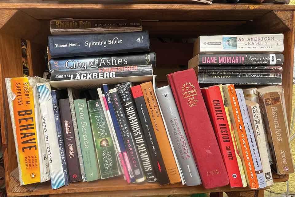 A photograph of a book shelf, crowded with books