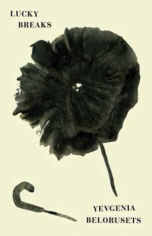 The cover to Lucky Breaks by Yevgenia Belorusets