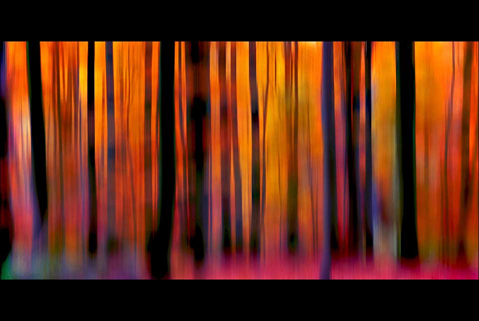 Darkened vertical structures rise gauzily up against a orange-purplish background