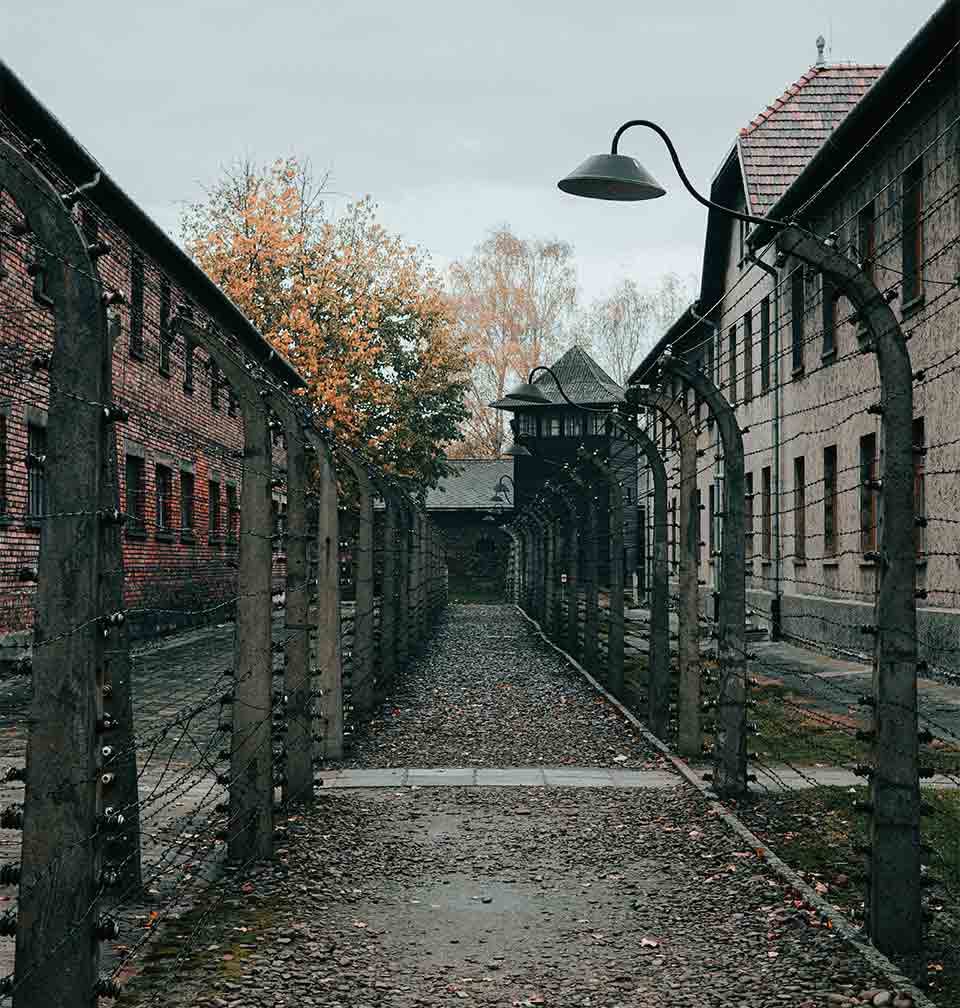 A path that leads between two overhanging walls of barbed wire. The path is flanked on either side by fortified buildings and leads to a fortified watchtower.