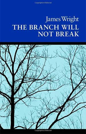 The cover to The Branch Will Not Break by James Wright