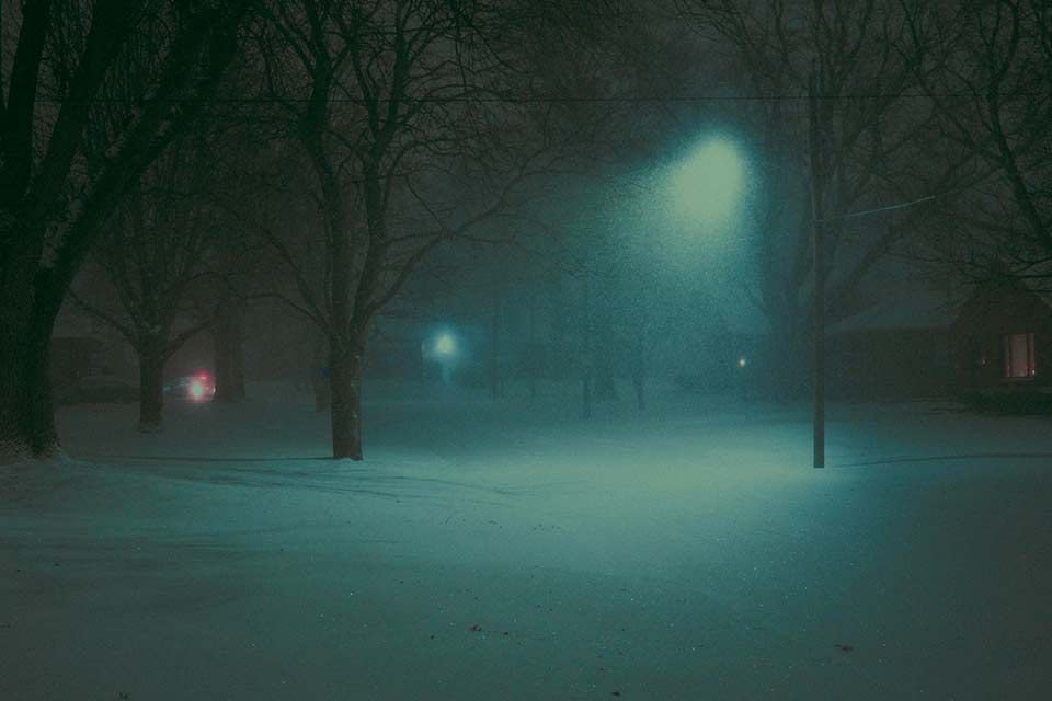 Trees blanketed with snow and lit by street lamps at night