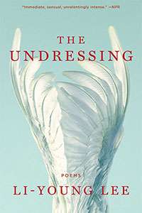 The cover to The Undressing