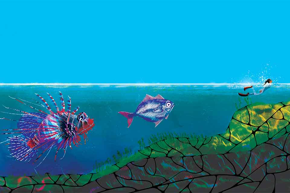 An illustration of fish following a tiny human swimmer