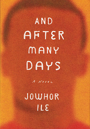 The cover to And after Many Days by Jowhor Ile