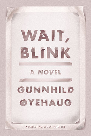 The cover to Wait, Blink: A Perfect Picture of Inner Life by Gunnhild Øyehaug
