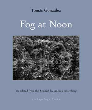The cover to Fog at Noon by Tomás González