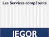 The cover to Les Services compétents by Iegor Gran