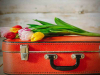 Cut flowers on a red suitcase