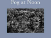 The cover to Fog at Noon by Tomás González