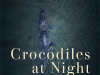 The cover to Crocodiles at Night by Gisela Heffes