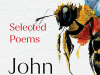 The cover to The Darkest Pastoral: Selected Poems by John Kinsella