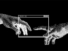 An black and white, 8-bit recreation of Michaelangelo's The Creation of Man, close-up on the touch between God and Adam, which now occurs in a desktop window