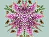 Foxglove design