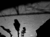 A black and white photograph of human shadows on the pavement