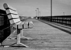 Bench by a bay. Photo by Julie Skarwecki/Flickr