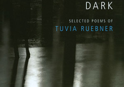 In the Illuminated Dark