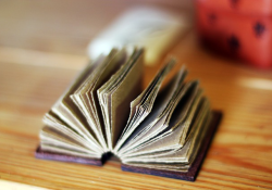 Book folded open