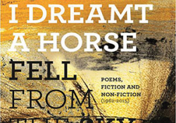 The cover to I Dreamt a Horse Fell from the Sky by Adil Jussawalla