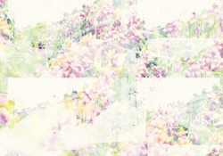 The cover to Blaris Moor by Medbh McGuckian