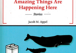 The cover to Amazing Things Are Happening Here by Jacob M. Appel