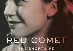 Red Comet: The Short Life and Blazing Art of Sylvia Plath by Heather Clark