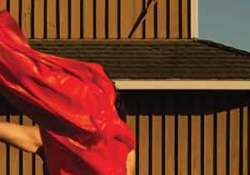 The cover to New and Selected Stories by Cristina Rivera Garza