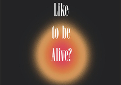 The cover to What Is It Like to Be Alive? Fourteen Attempts at an Answer by Chris Arthur