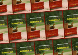 The cover to Bibhutibhushan Bandyopadhyay's book Kaleidoscope of Life