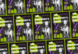 The cover to the Shepherd's House by Olinda Beja