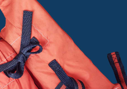 Life-vest, partially cropped so that only the straps are visible