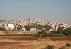 The city of Afrin, rising on a hill above the plain