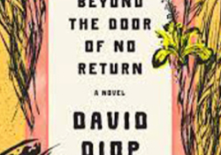 Beyond the Door of No Return by David Diop