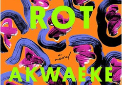 The cover to Little Rot: A Novel by Akwaeke Emezi