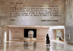 A figure in shadow stands in a large museum space