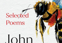 The cover to The Darkest Pastoral: Selected Poems by John Kinsella