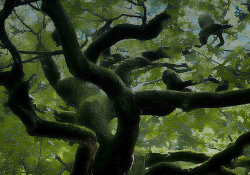 Looking up into a green canopy, laced with serpentine and curved branches.