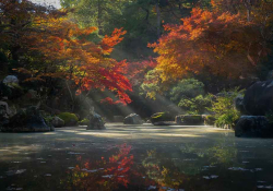 A photograph of a lake surrounded by trees in fall foliage